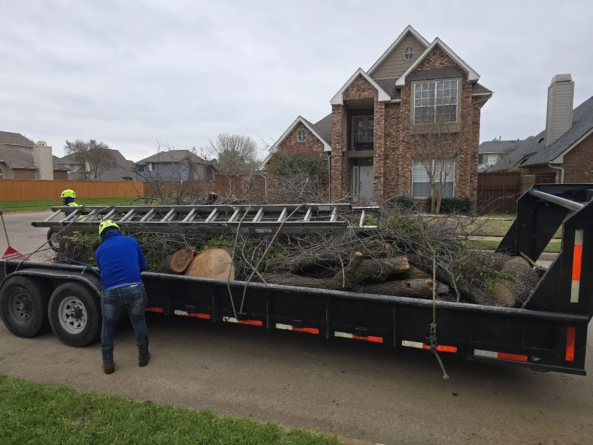 Expert Lot Clearing with proper safety equipment in Morrill